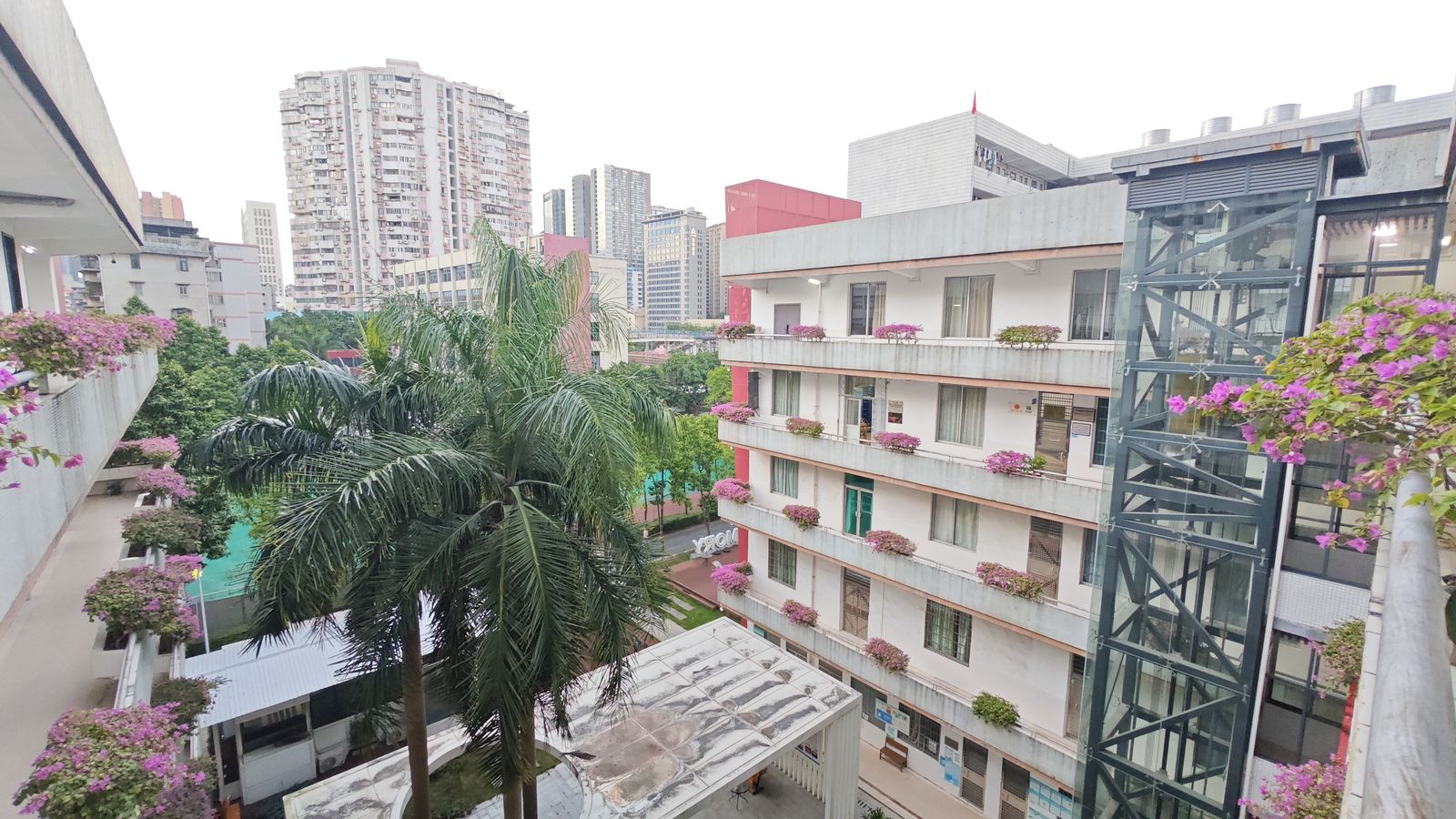 广师大西校区校园全景