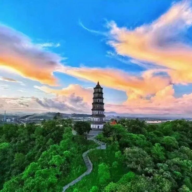 新会陈皮核心产区地标熊子塔（凌云塔），塔下为银洲湖畔柑园